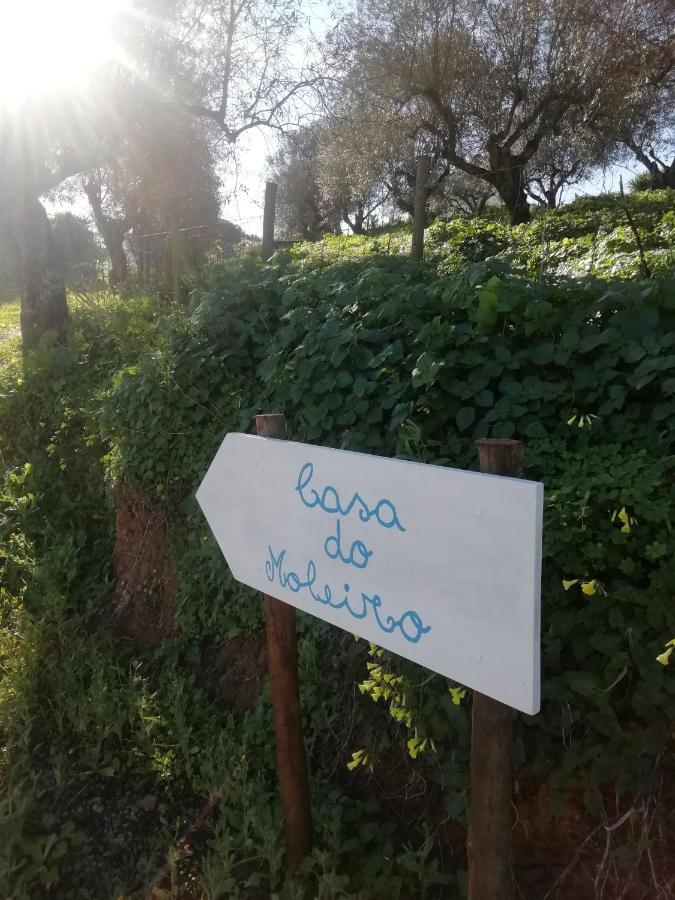 فيلا Casa Do Moleiro Santiago do Cacém المظهر الخارجي الصورة