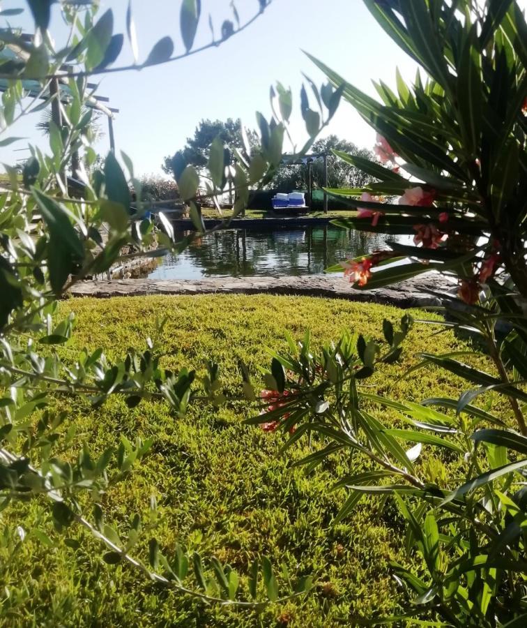 فيلا Casa Do Moleiro Santiago do Cacém المظهر الخارجي الصورة